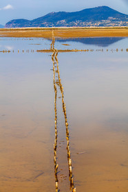 Salins d'Hyères
