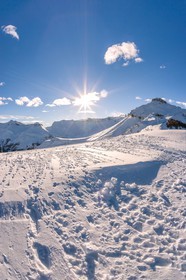 Auron