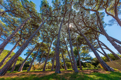 Lérins, Sainte-Marguerite