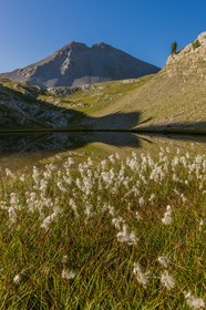 Lacs de l'Encombrette