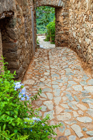 Pigna