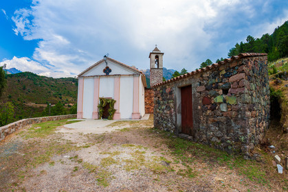 Bardiana