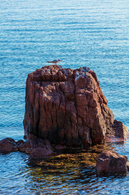 Cannes