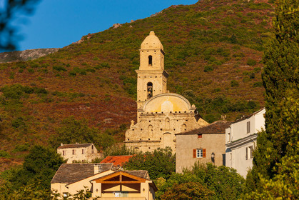 Patrimonio