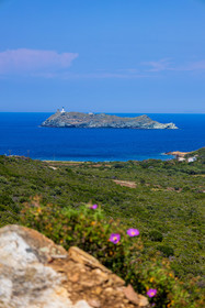 Giraglia