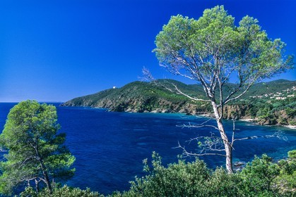 Cavalaire