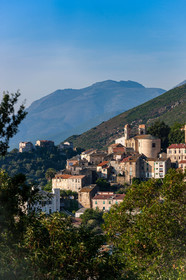 Oletta