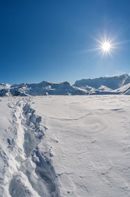 Auron