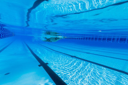 Natation