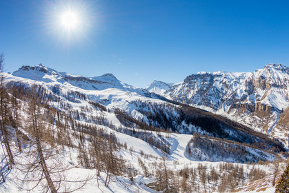 Auron