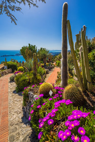 Eze Jardin exotique