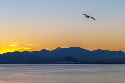 Cannes vue de l'Hôtel Radisson Blu 1835