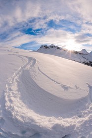 Auron
