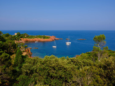 Estérel