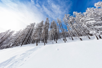 La Foux-d'Allos
