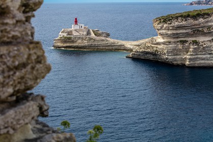 Bonifacio