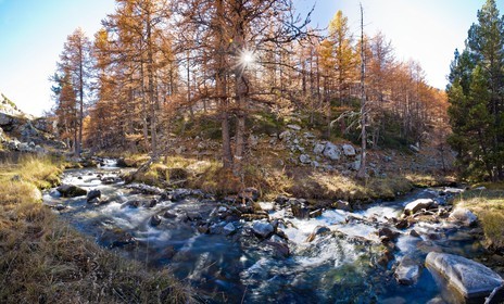 Torrent du Chadoulin