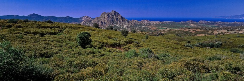 Désert des Agriates