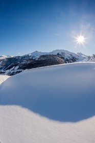 Auron
