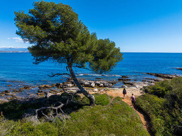 Lérins Sainte-Marguerite 2024
