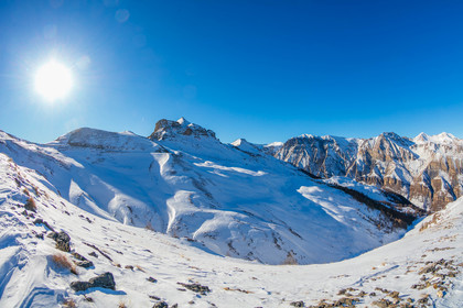 Auron