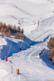 Auron