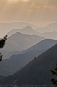 Estéron