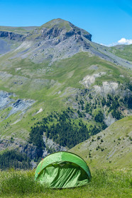 Auron