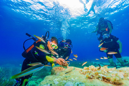 Plongée-sous-marine