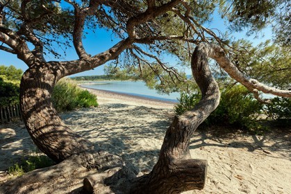 Ile du Grand Gaou