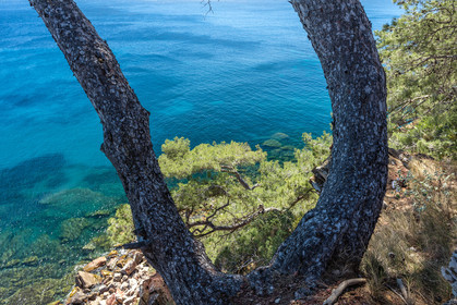 Plage de Fabrégas