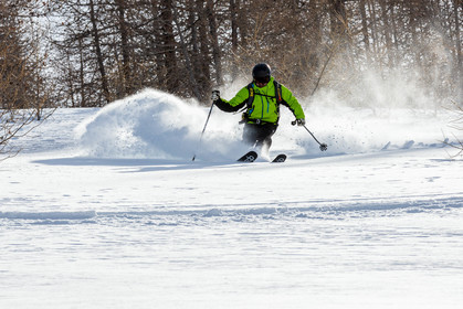 Freeride
