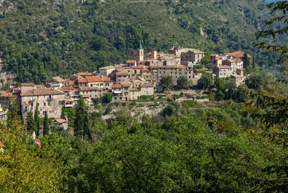 Gorbio