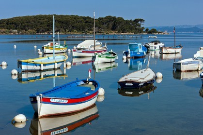 Pointus du Brusc