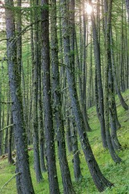 Rando Vtt Lacs de Lignin