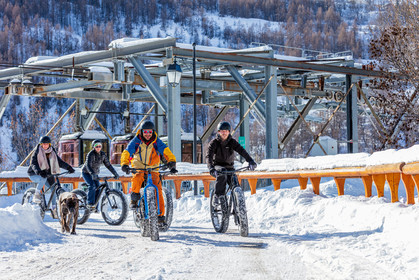 Fat Bike