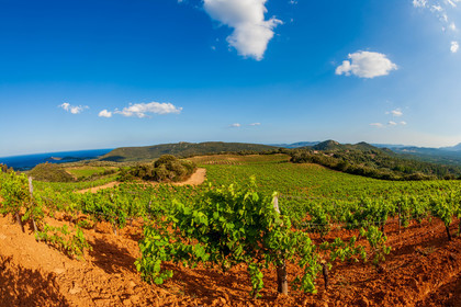 Domaine de Torracia