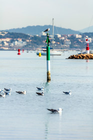 La Seyne-sur-Mer