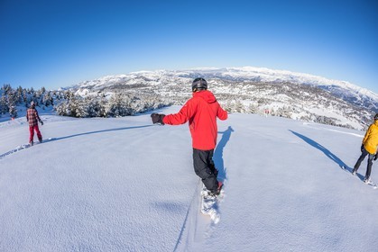 Snowboard