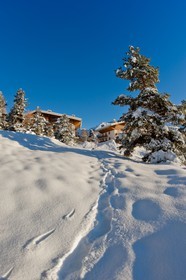 Auron