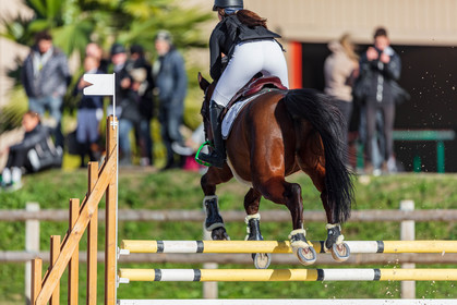 Equitation