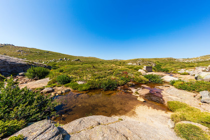 Plateau du Coscione