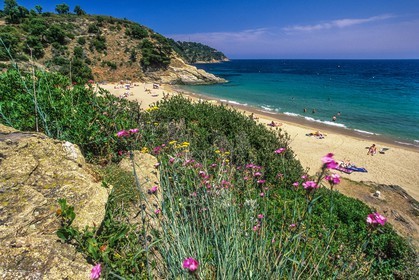 Cavalaire