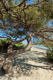 Ile du Grand Gaou