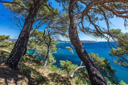 Plage de Fabrégas