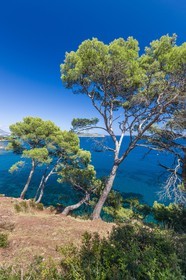 La Seyne-sur-Mer