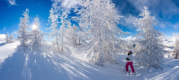 Ski