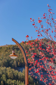 Auron
