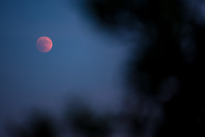 Lune rousse
