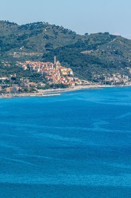 Cervo